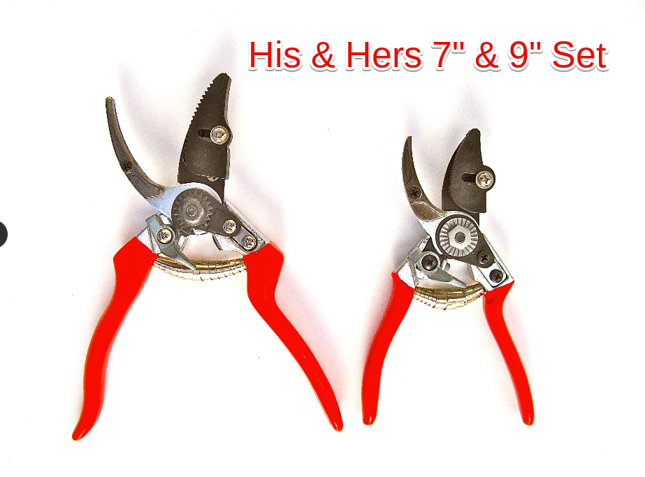 Cut and Hold By-Pass Pruners