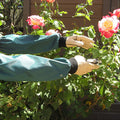 Arm Savers protect your arms from rose thorns