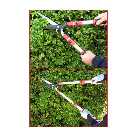 Telescopic Hedge Shears In Use