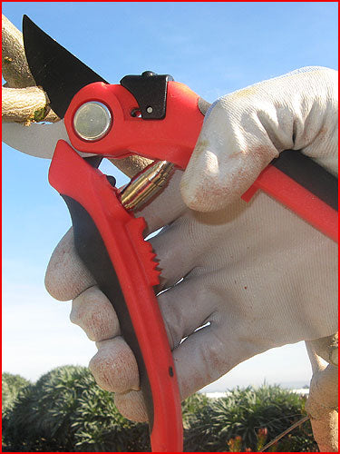 wildflower seed & tool company By-Pass Pruners