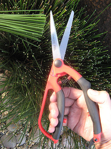 Large Garden Scissors – DIG + CO.