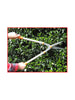 Pro Hedge Shears In Use