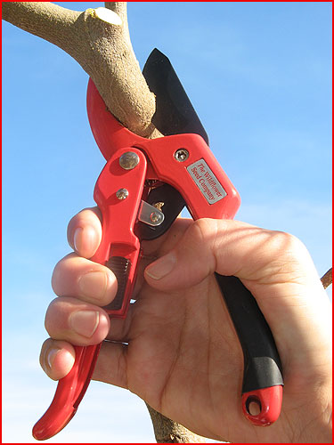 wildflower seed and tool company Ratchet Pruner