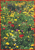 Northeast Wildflower Seed Mix